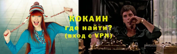 PSILOCYBIN Каменка