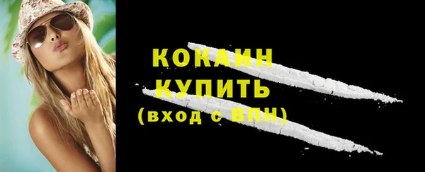 PSILOCYBIN Каменка