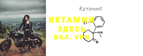 PSILOCYBIN Каменка