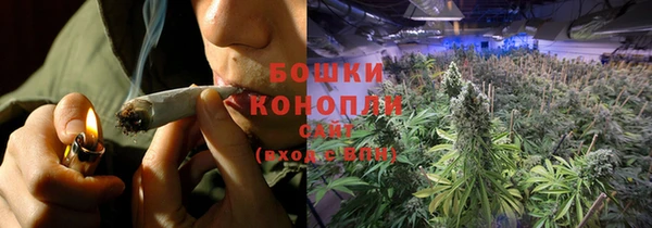 PSILOCYBIN Каменка